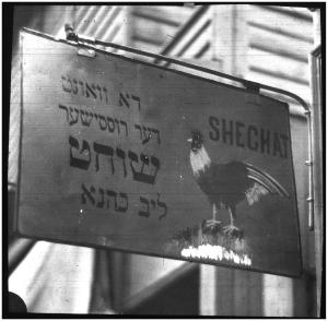 39.4 Sign in Yiddish advertising chickens