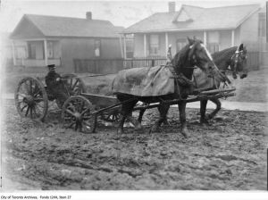 Horse and wagon on Boon Avenue