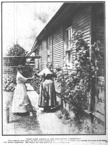 Prize Gardens of Earlscourt, Toronto Star Weekly July 25, 1914 p7b