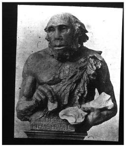 59.50 Neanderthal man