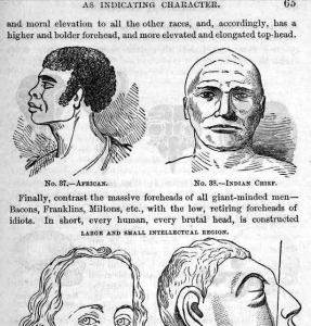 B. The Illustrated Self-Instructor on Phrenology and Physiology p65