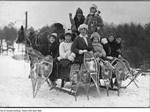 Group of snowshoers on horse-drawn sled High Park